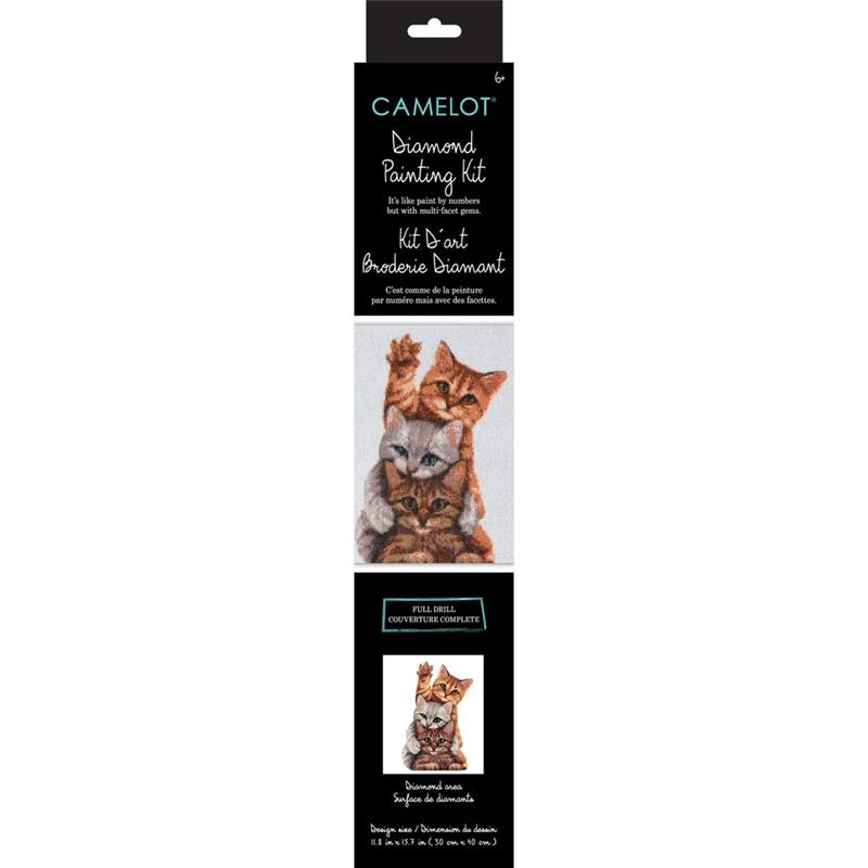 Kit de peinture de diamants - Embuscade de chatons