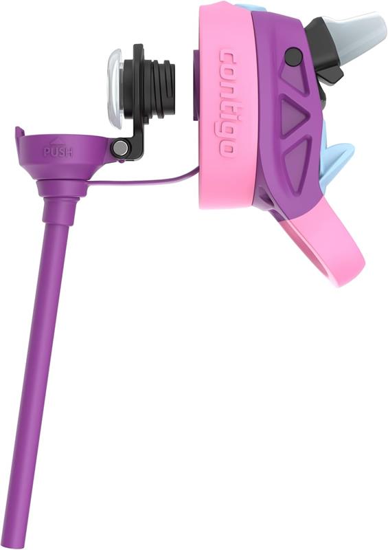 Bouteille d’eau Contigo pour enfants antifuite avec paille Aubrey 20 oz - Raisin