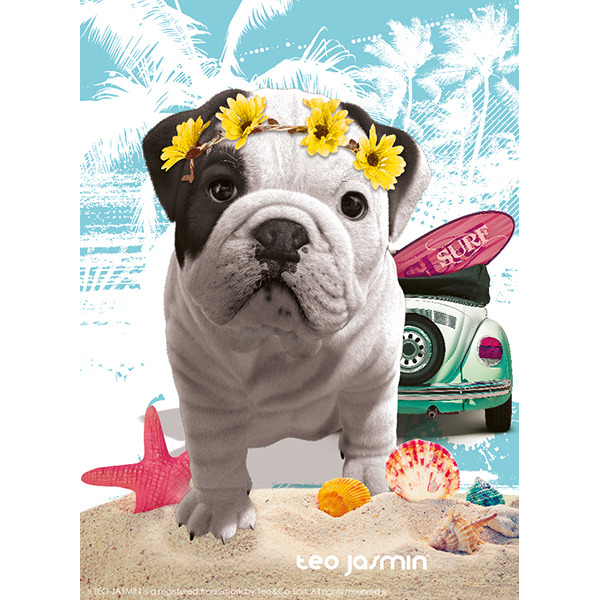 Nathan Puzzle – Art Photo Collection: Téo California, Teo Jasmin – 500 Pieces