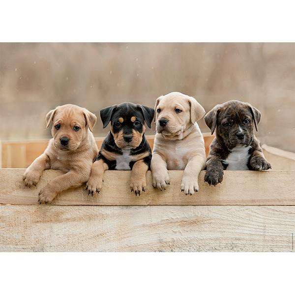 Casse-tête Nathan - Collection tendresse : American Staffordshire Terriers - 1000 pièces