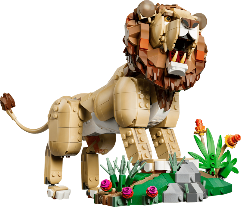 LEGO Creator - Animaux sauvages : le lion majestueux