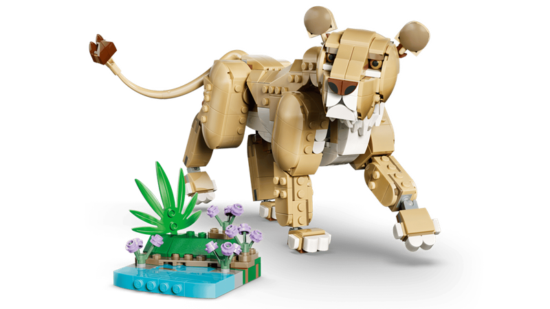 LEGO Creator - Animaux sauvages : le lion majestueux