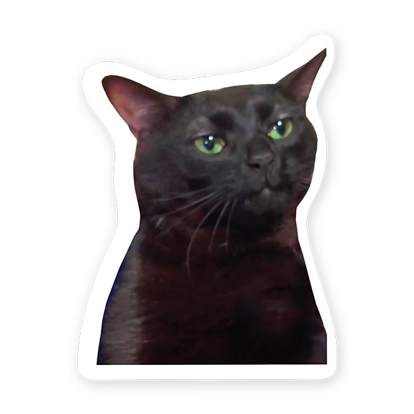 Autocollant en vinyle - Chat