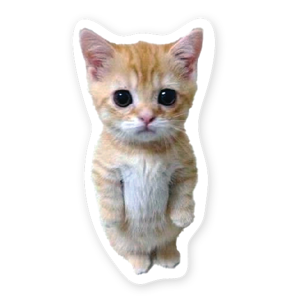 Autocollant en vinyle - Chaton