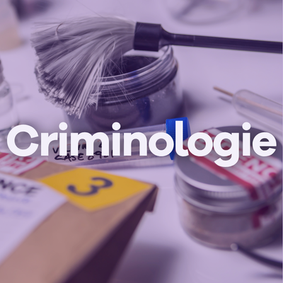 Image Criminologie