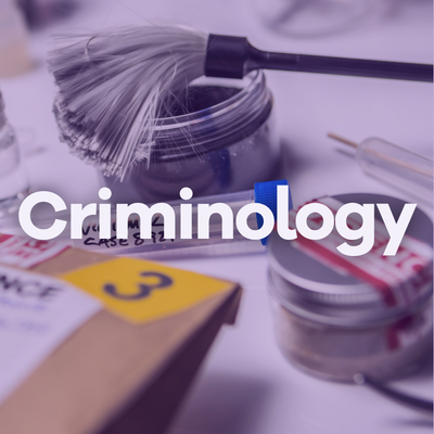 Image Criminology