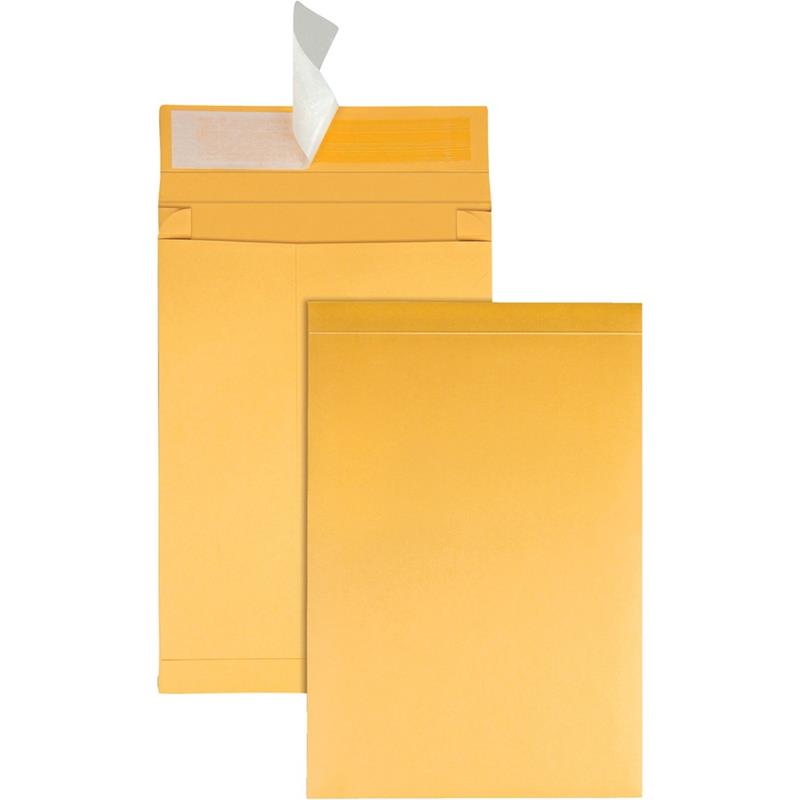 Image Redi-Strip™ Kraft Expansion Envelope