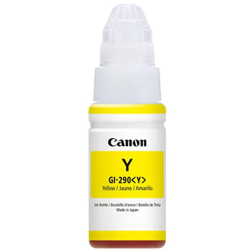 Image GI-290 Ink Bottle