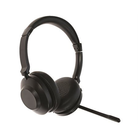 BC1022 Blues Combo Binaural Headset